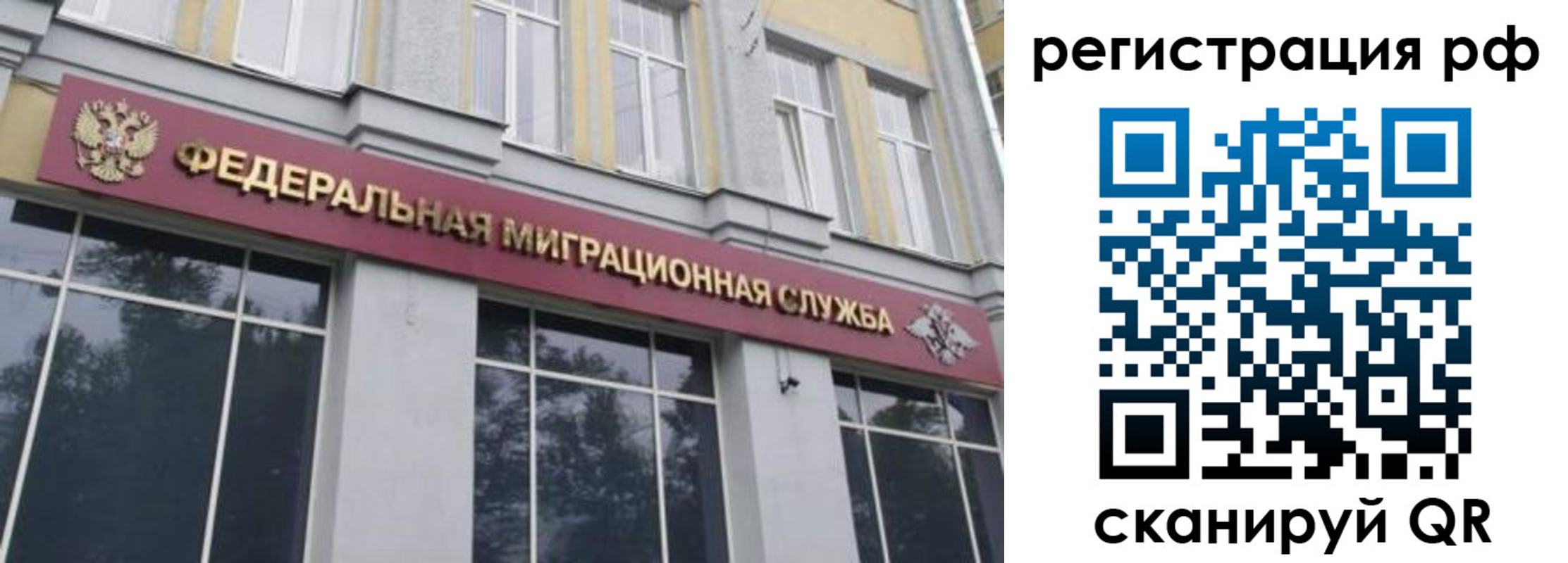 прописка законно в Стародубе