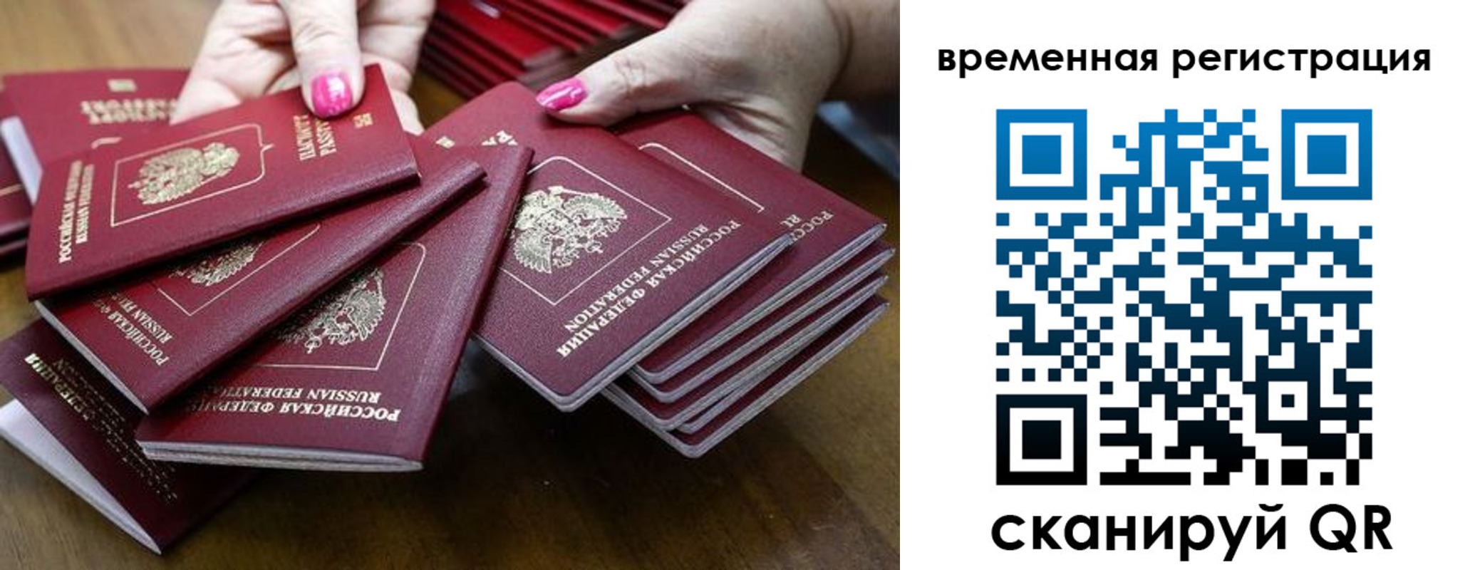 временная регистрация поиск в Стародубе